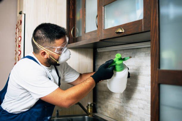 Best Cockroach Control Services  in Bremen, IN