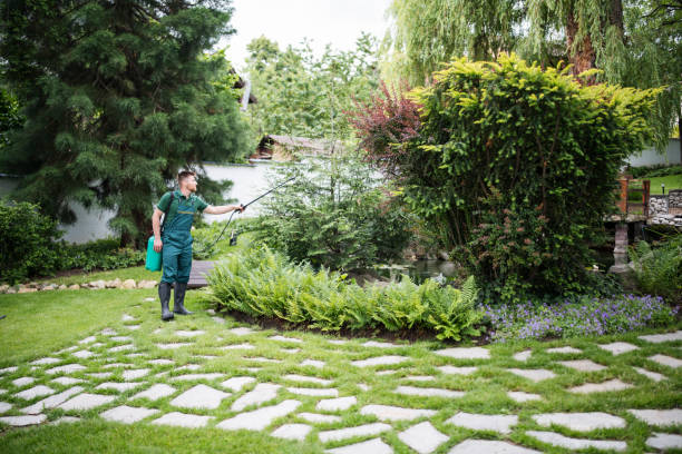 Best Local Pest Control Services  in Bremen, IN