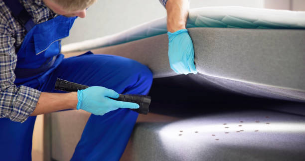 Best Affordable Pest Control Services  in Bremen, IN