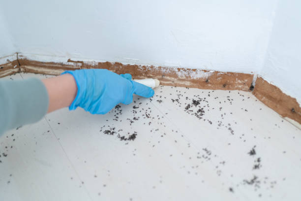 Best Mosquito Control Services  in Bremen, IN